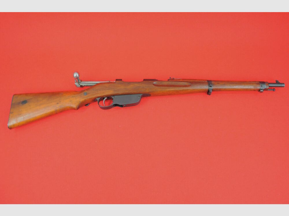 Steyr M1895