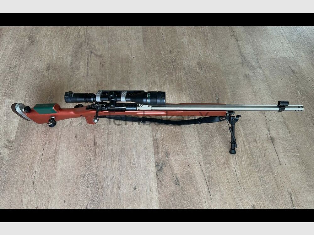 Styria Arms M95 Modifiziert/Umbau .308Win