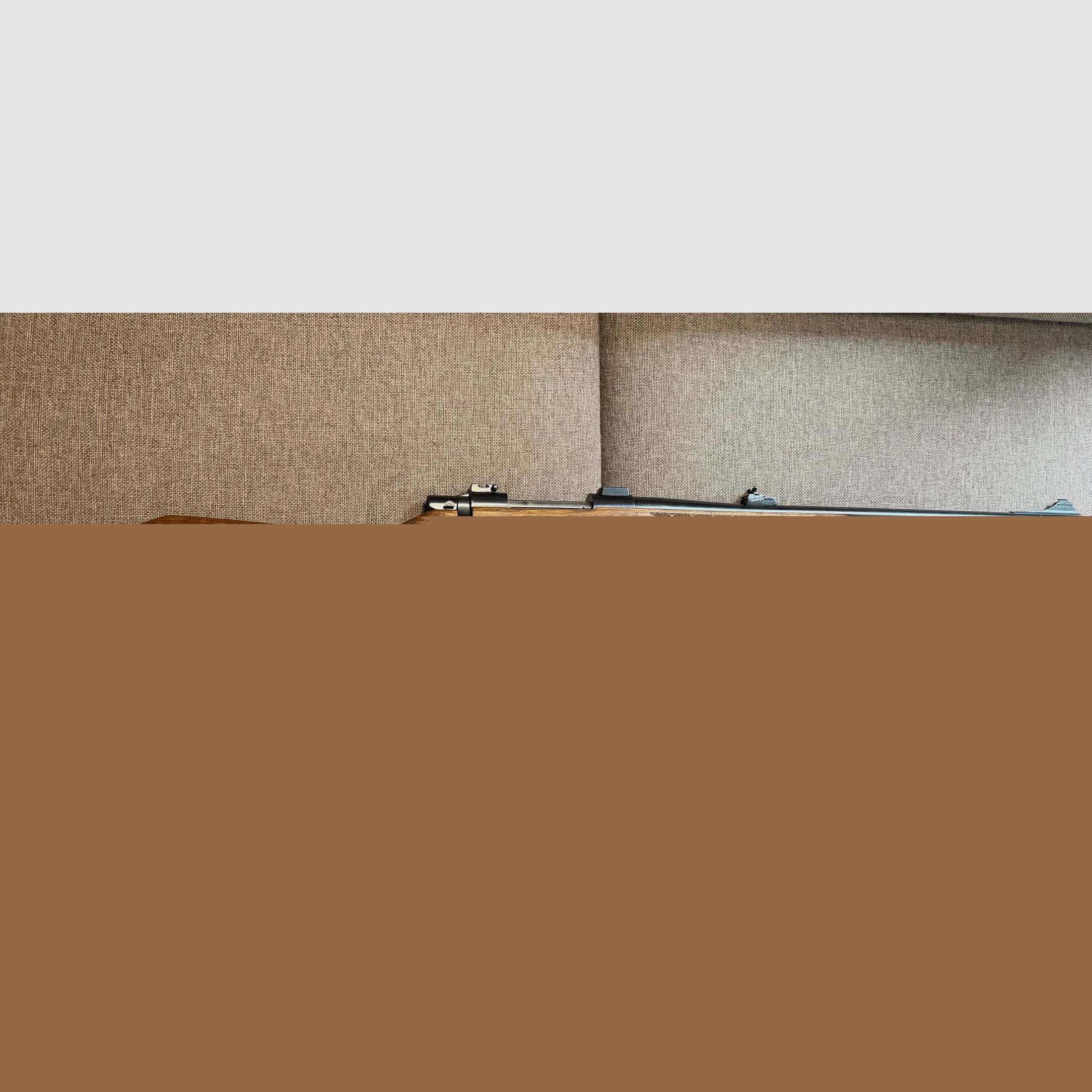 Repetierer RWS Model 89