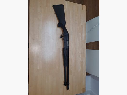 Hatsan Escort Aim Guard 