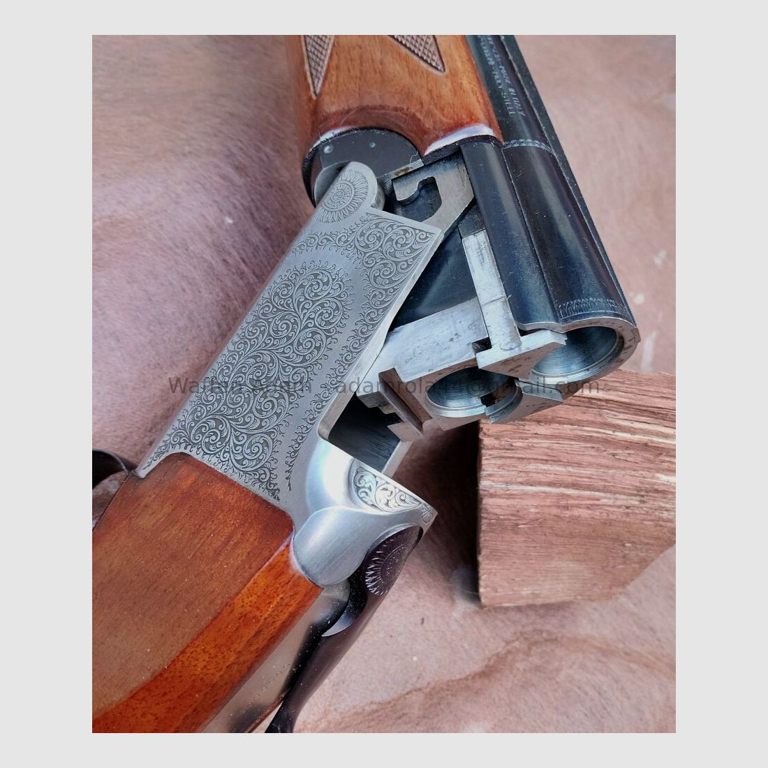 Luigi Franchi, Brescia / Italie Alcione S ; BDF Sport