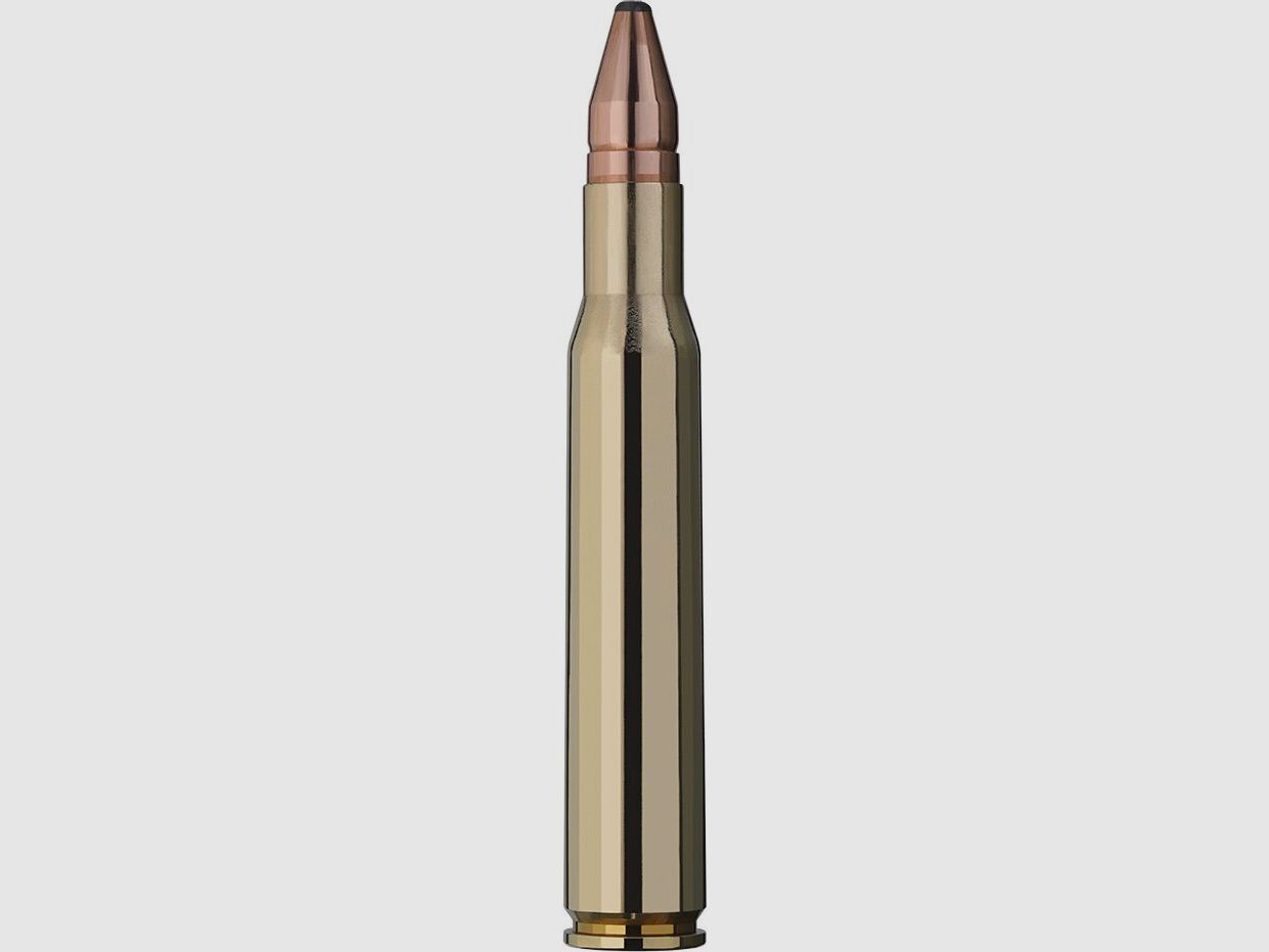 RWS Doppelkern (DK) 165grs - 20Stk