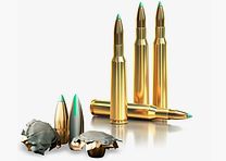 S&B PTS .204 Ruger 2.1g