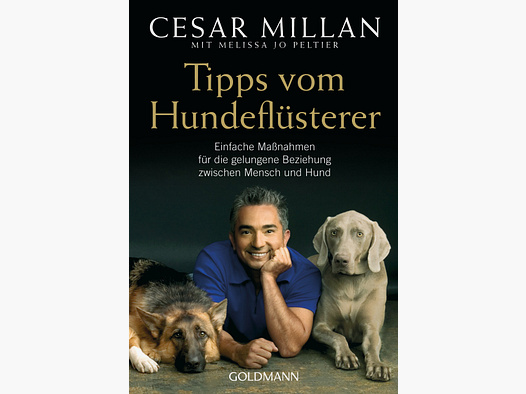 Tipps vom Hundeflüsterer – Einfache Maßnahmen für die gelungene Beziehung zwischen Mensch und Hund