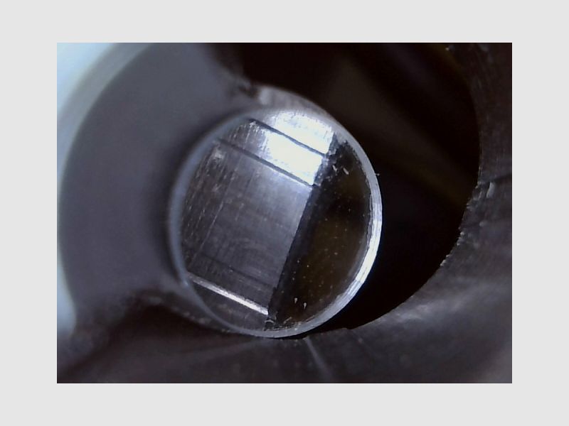 Ruger American Magnum Rifle .300 WinMag, die unzickige mit etwas Bumms, Drückjagd, Longrange