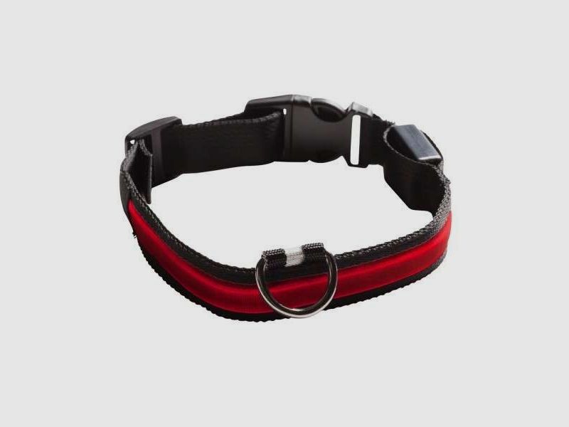 Leuchthalsband LED Rot, Bild 1 von 2