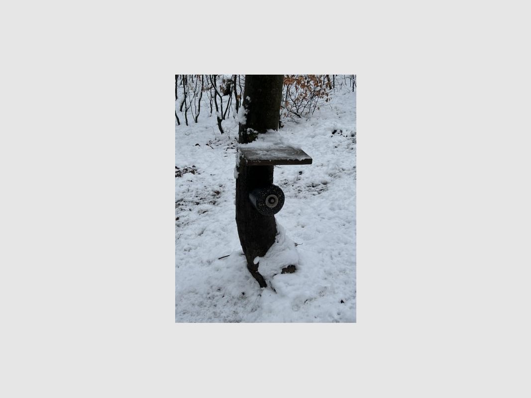 Wildlutscher spezial Leckstein verschiedene Sorten