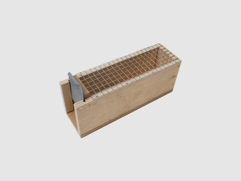 Box mouse trap