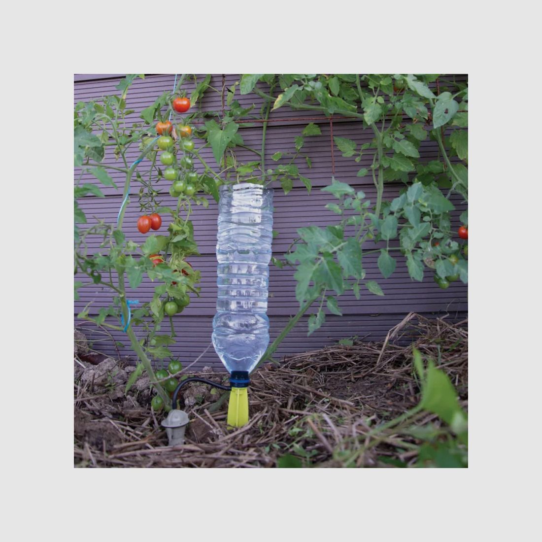 Arrosage goutte à goutte bouteille, image 6 sur 8