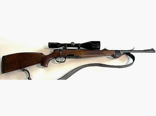 Steyr M Goiserer