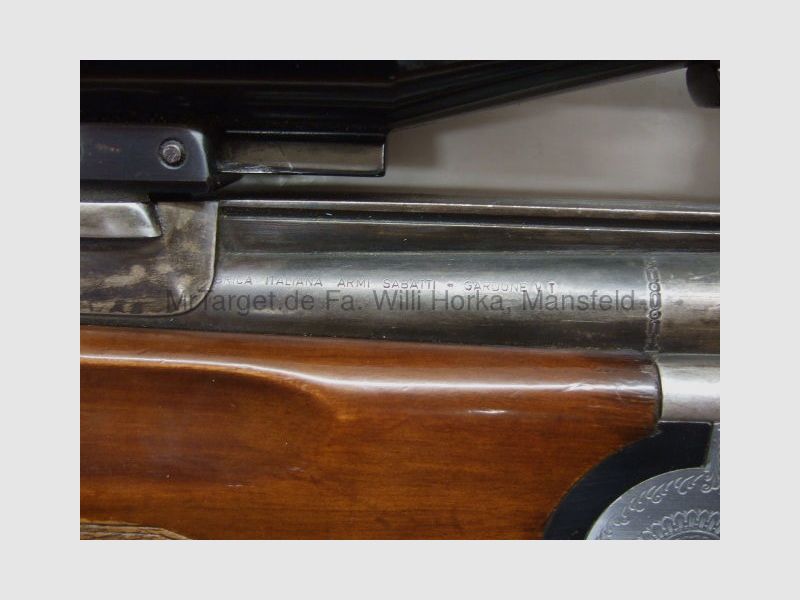 Sabattii con ZF SWAROVSKI 6x42 retículo 1