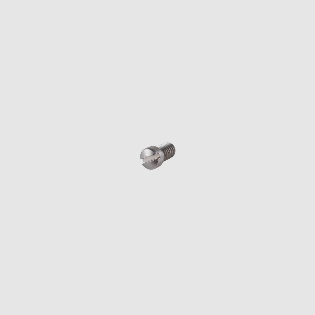 Smith & Wesson Sideplate Screw
