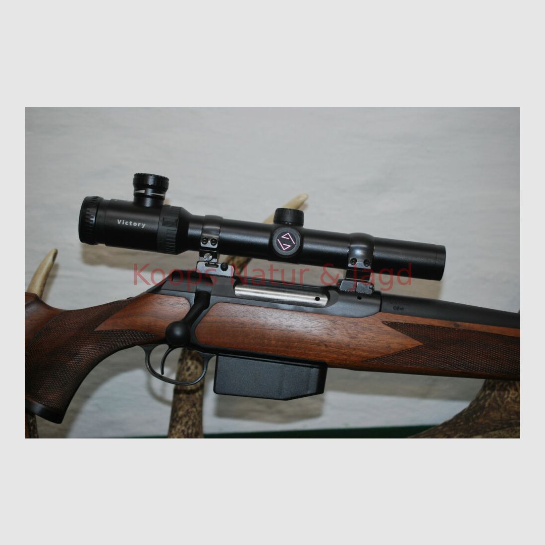 Sauer 202 Forest
