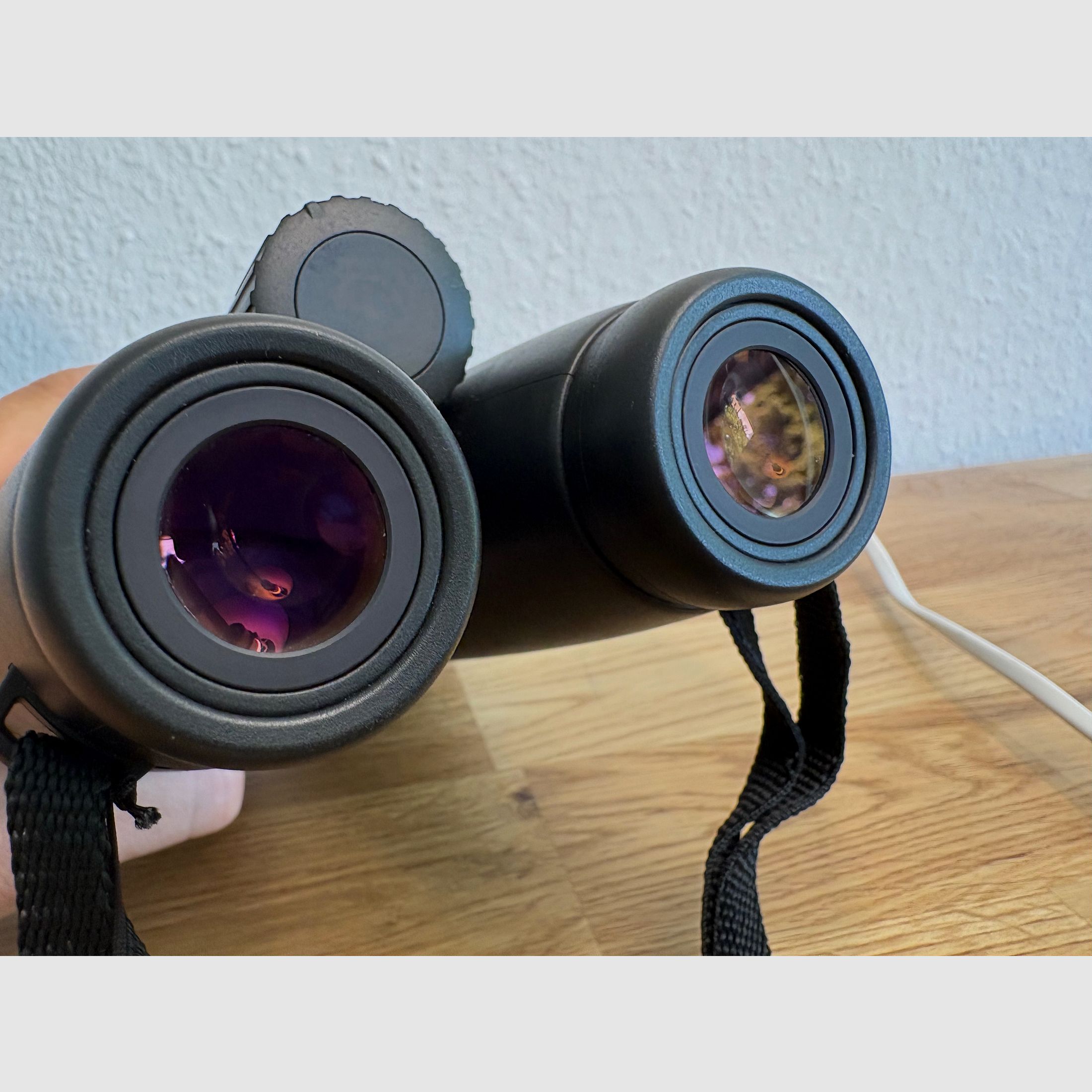 Fernglas Zeiss Victory 10x56 T* FL 