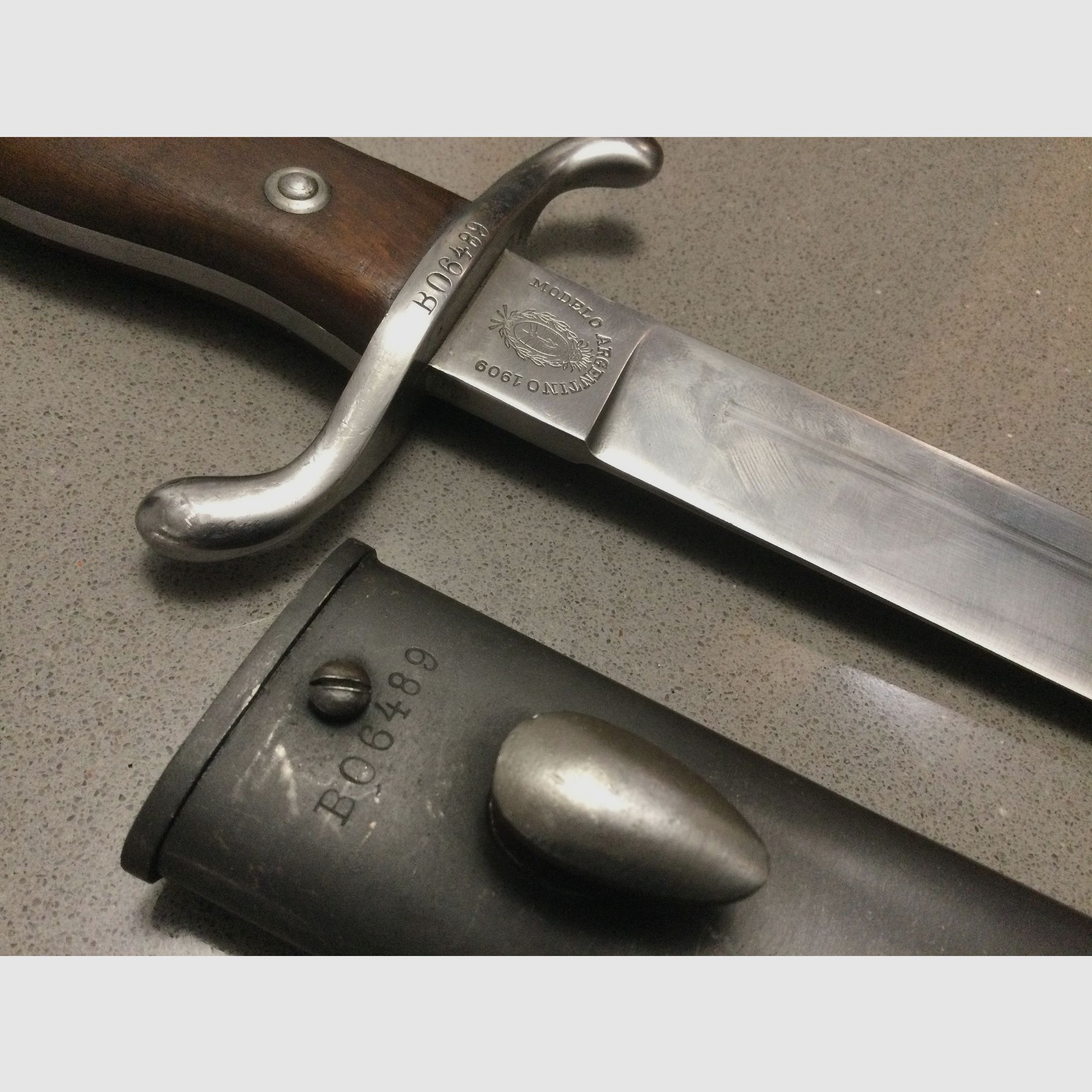 Bayonet, 1909, Modelo Argentino, nummerngleich, Stahlscheide