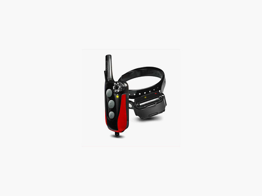 COLLIER DE DRESSAGE DOGTRA IQ PLUS