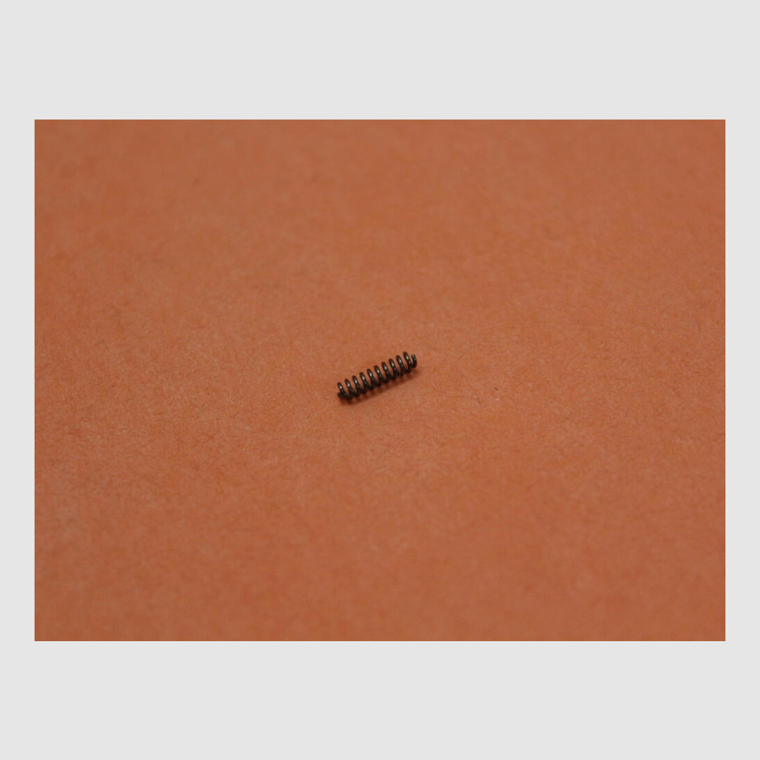 DPMS AR-15: Forward Assist Pawl Spring DPMS Locking Lever Spring for Closure Aid