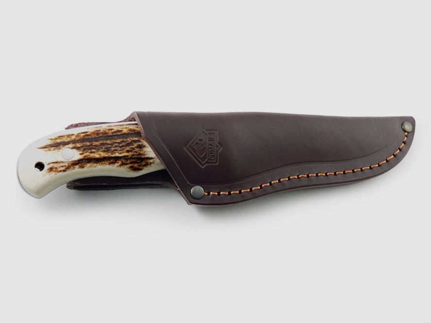 PUMA IP venado, stag