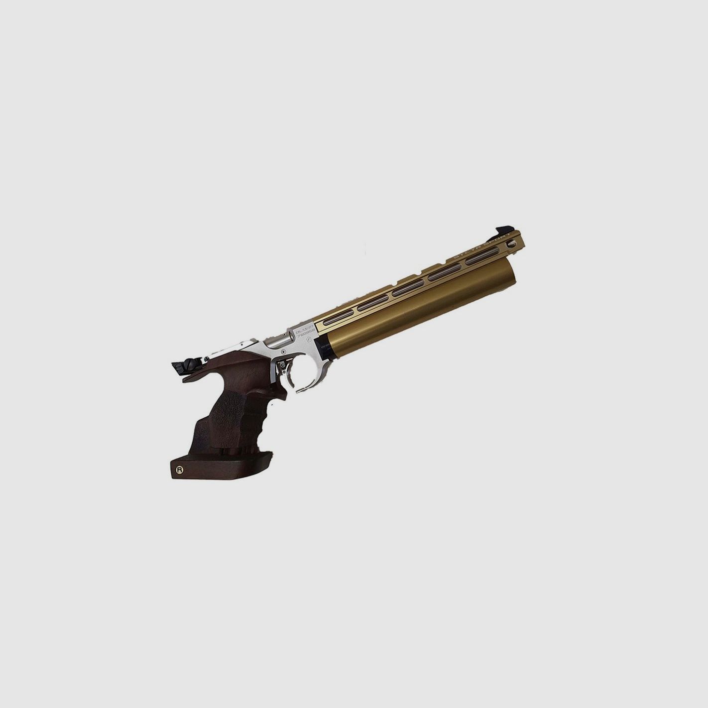 STEYR Pistola LP10 EVO, immagine 2 di 3