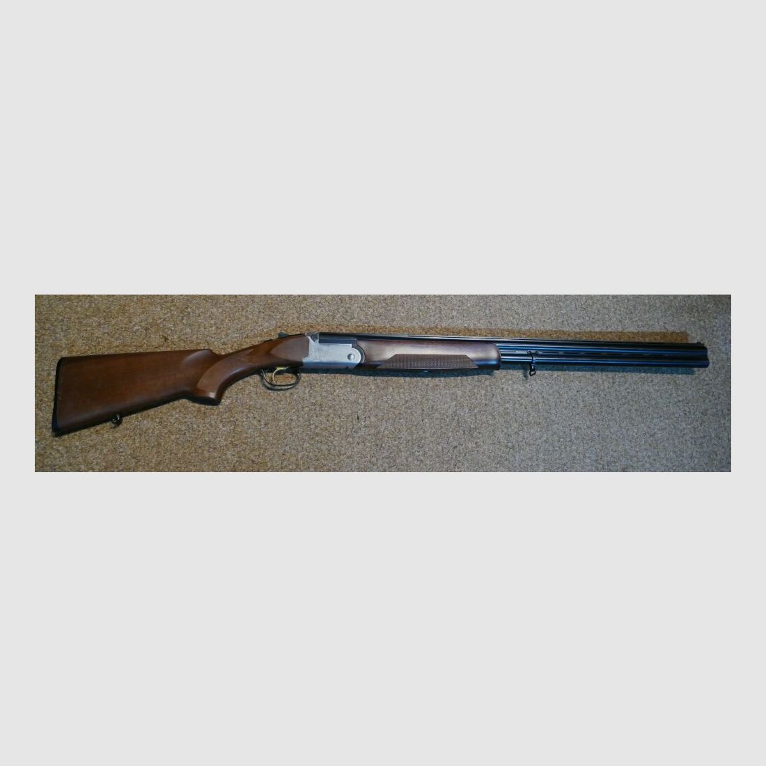Rizzini Albion
