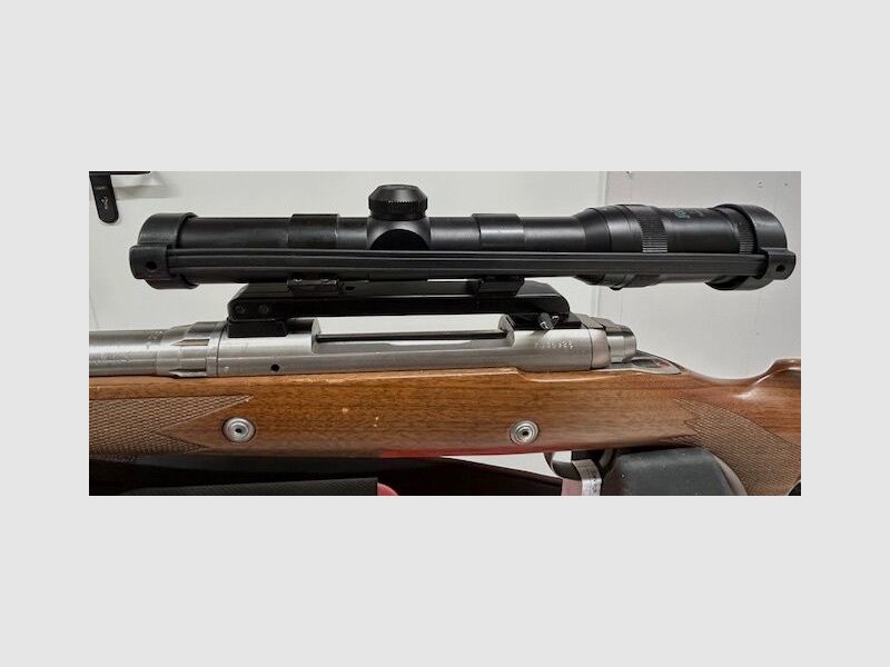 Savage Savage Safari Express