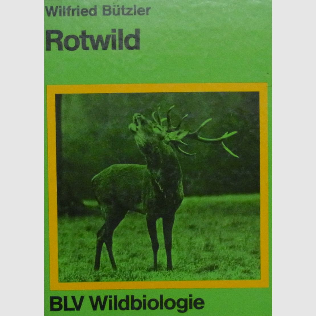 Buch Rotwild