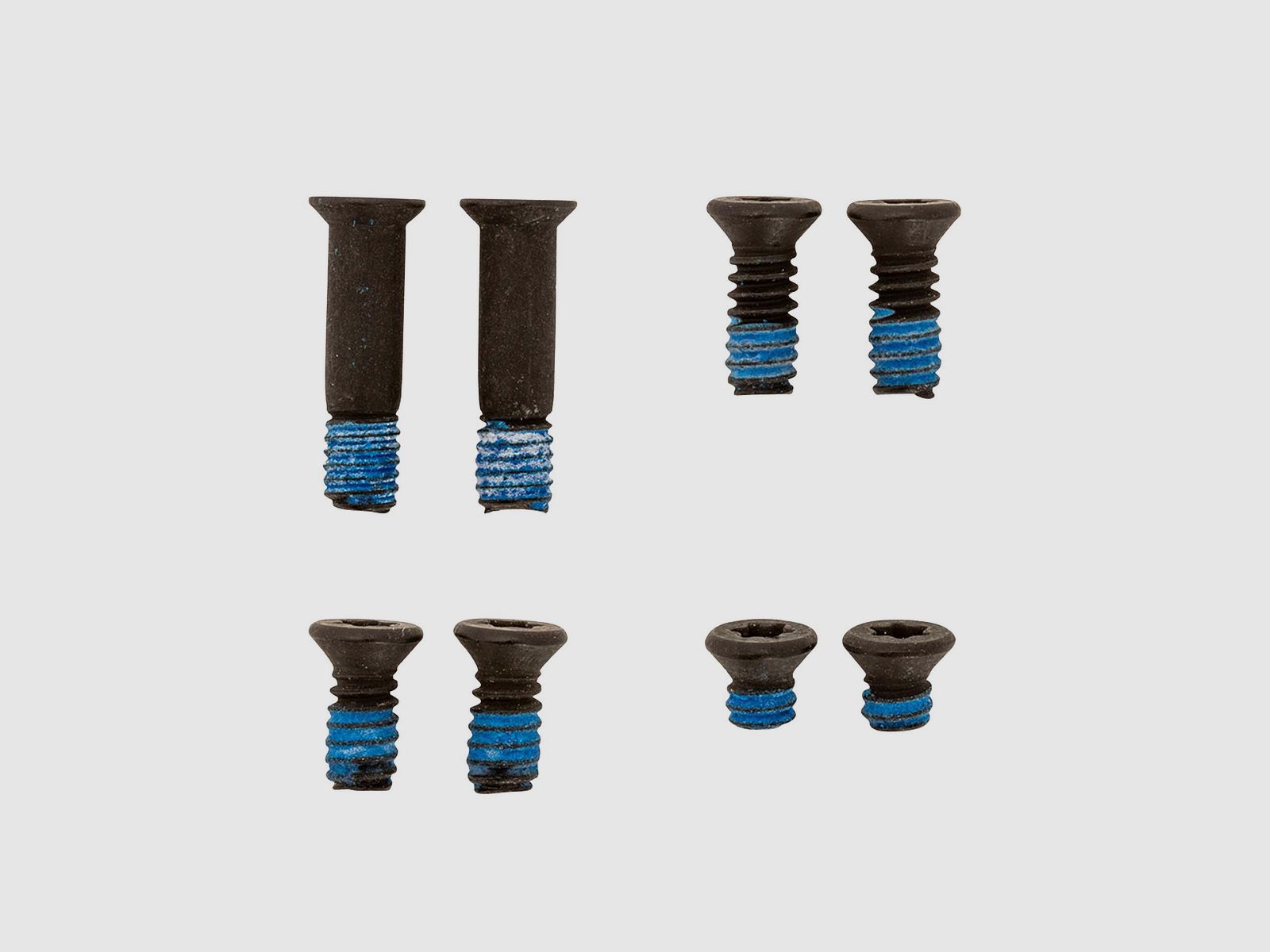 Screw Kit Optik Montage HS Echelon