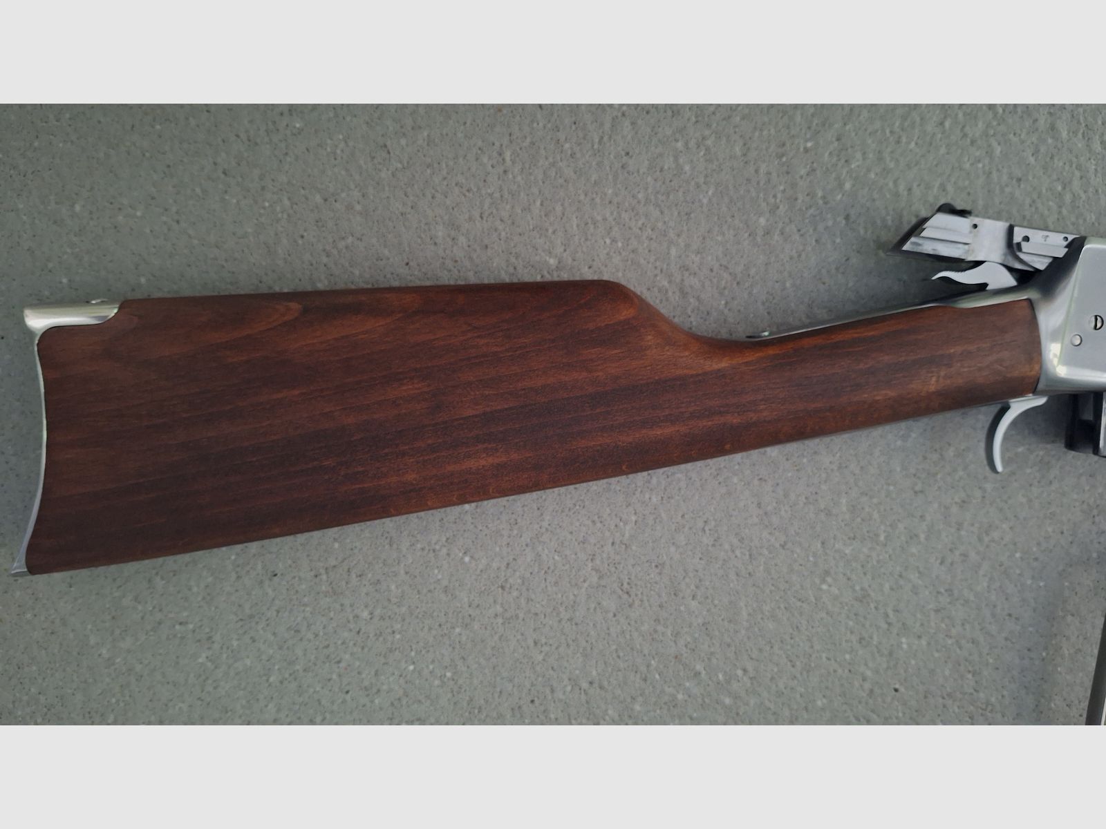 Puma Octagonal, Rossi .44 Magnum 24 inch stainless con Burris Fastfire 3