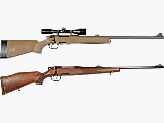 Steyr SSG 69 PII-K