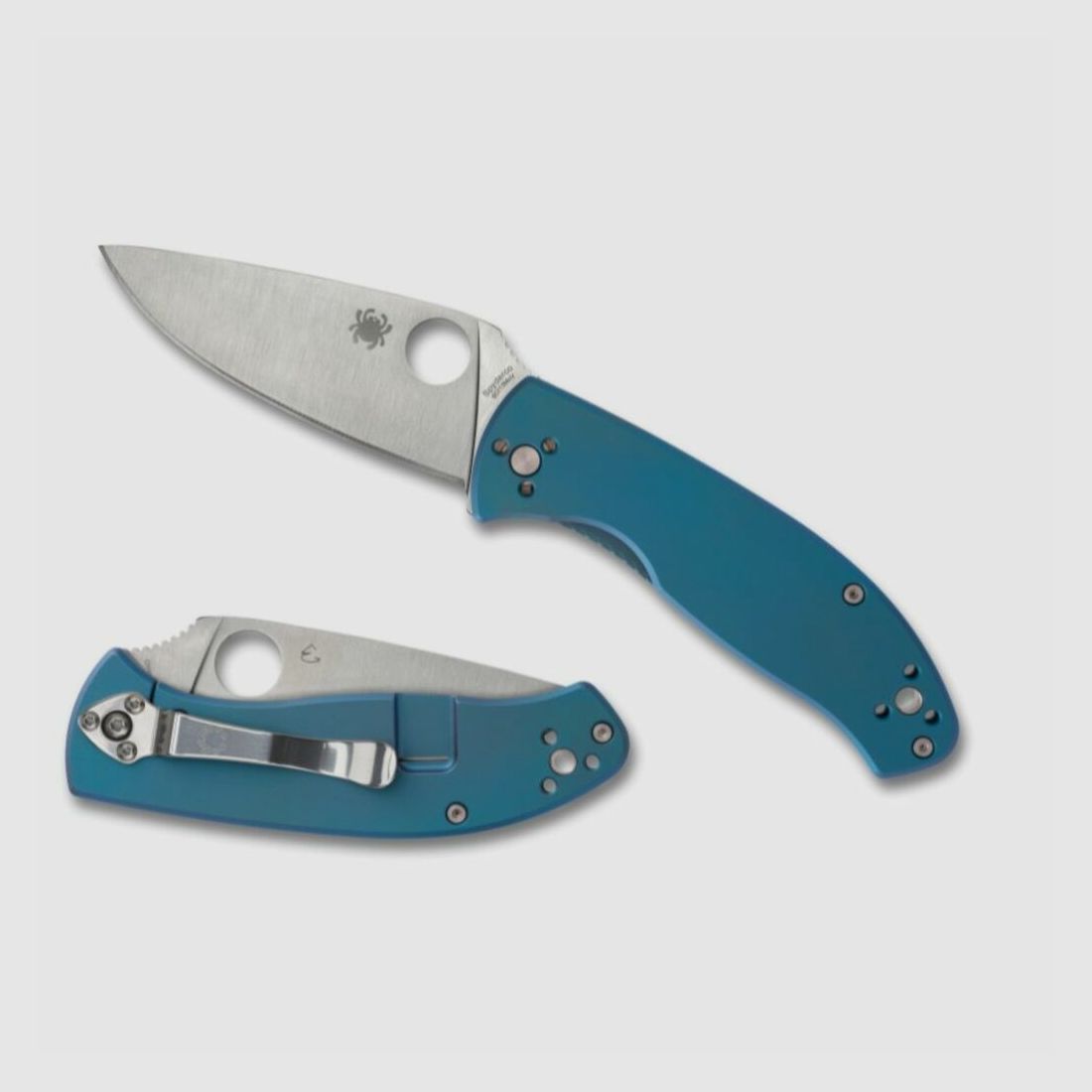 Nóż Spyderco Tenacious Tytan Niebieski, zdjęcie 1 z 3