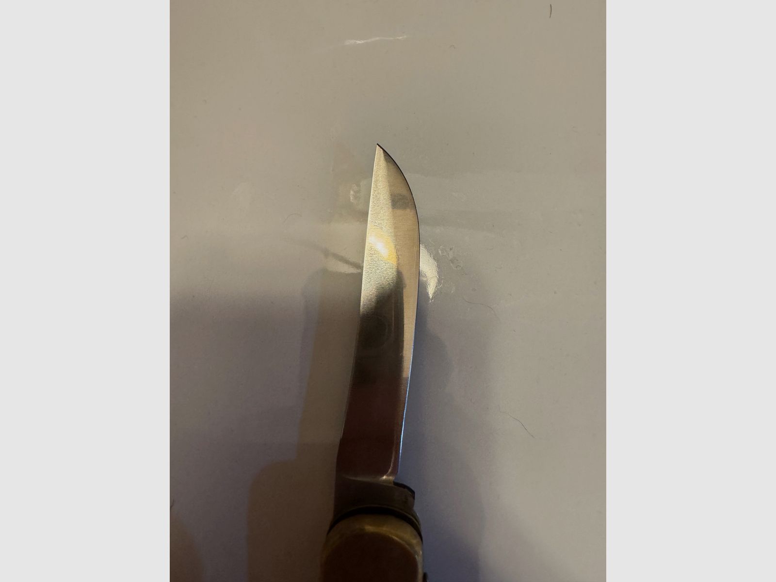 972 Puma Game Warden
