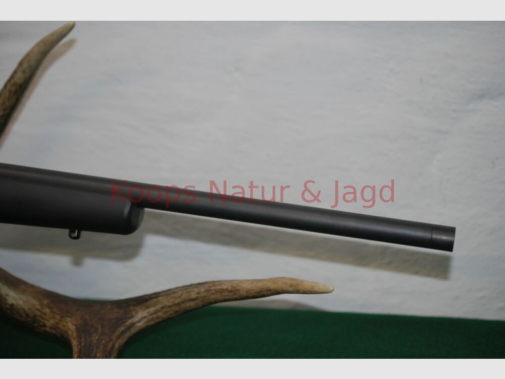 Rössler Signature Allround