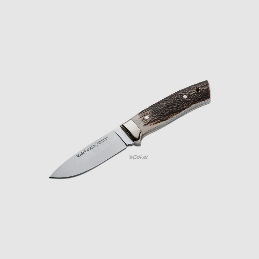 Muela Kodiak Stag