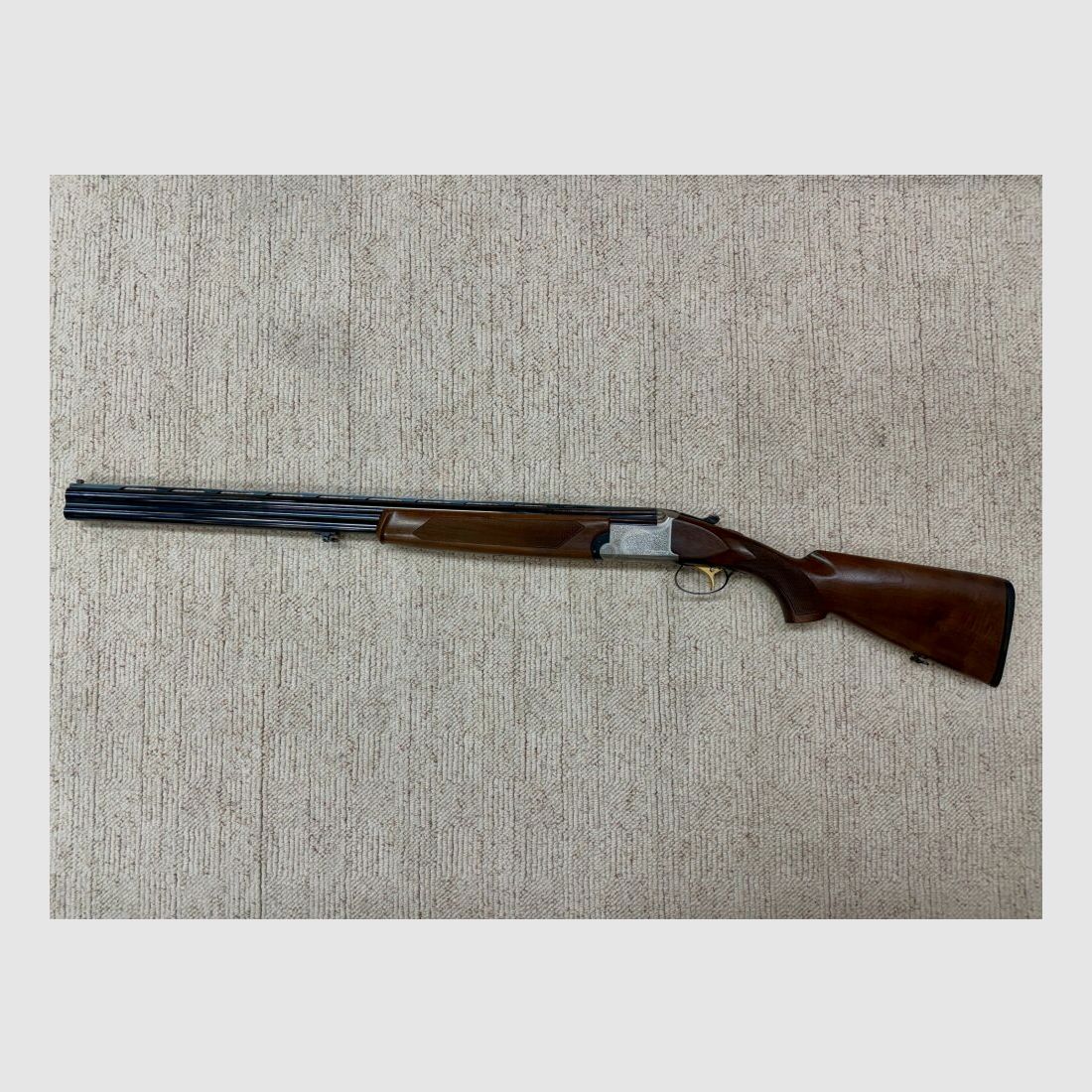 Sauer Franchi