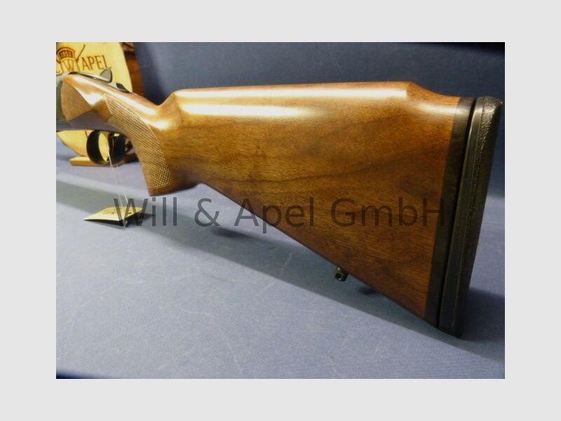 Akkar Churchill Lady Black