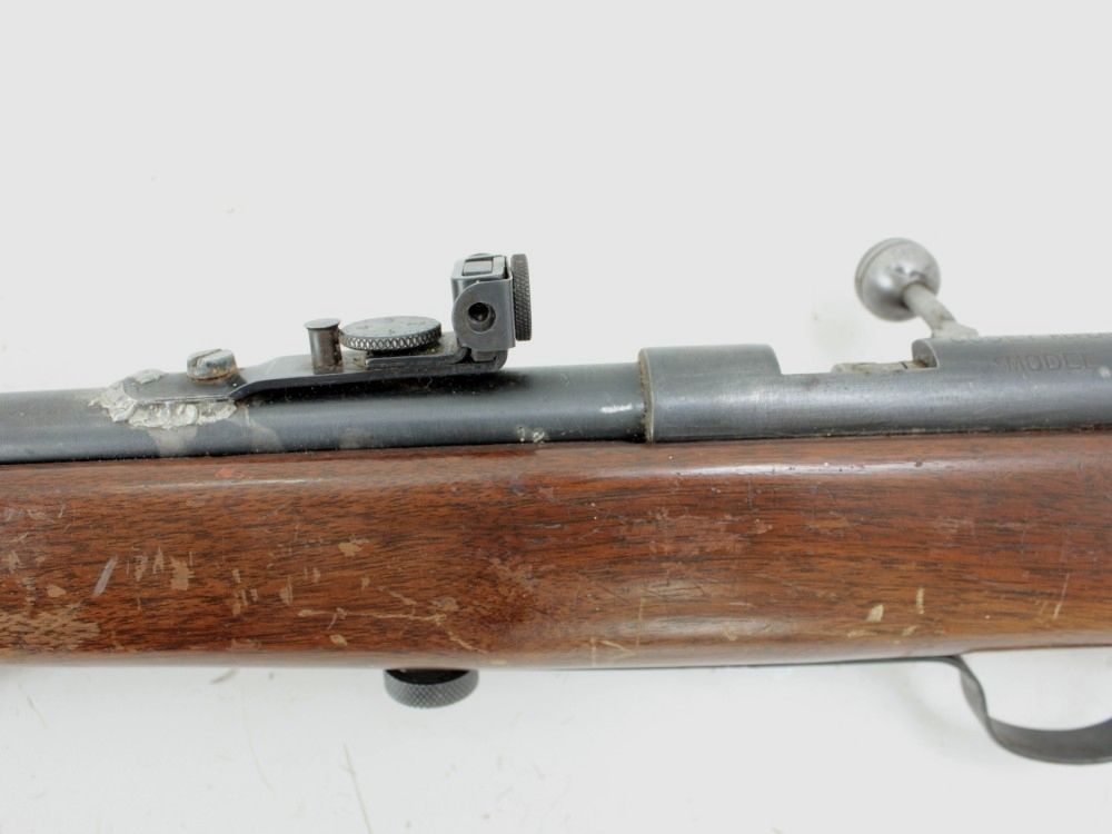 Karabinek powtarzalny CODEY M60 kal .22 LR, zdjęcie 2 z 2