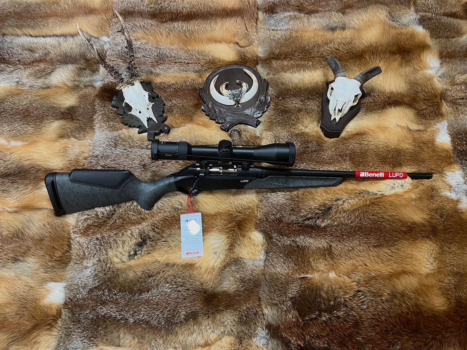Benelli Lupo 
