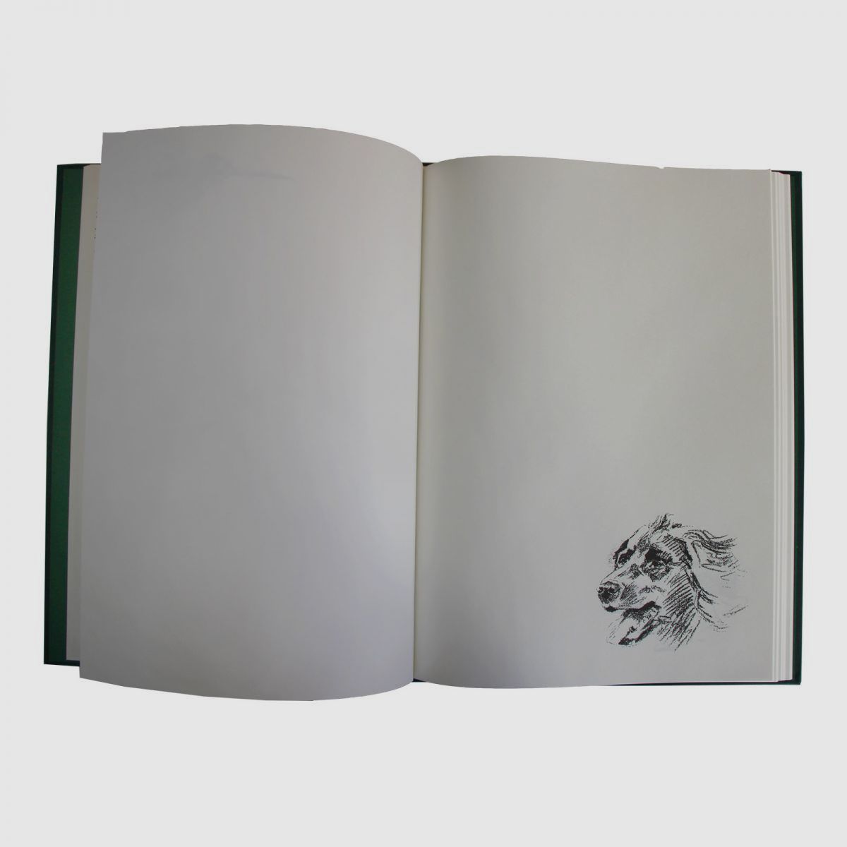 Schuss- / Jagdtagebuch