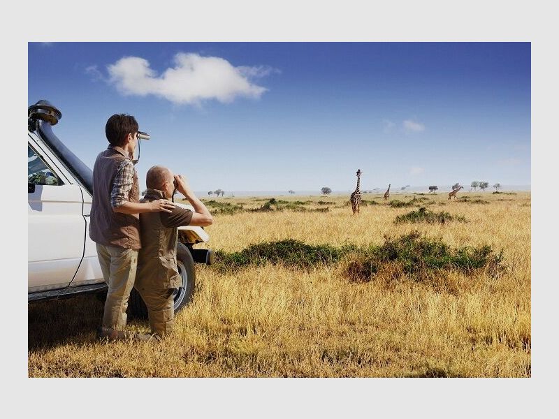 Swarovski CL Pocket B Mountain