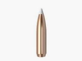 Puntas Cal. 7mm-160 Spitzer Nosler Accubond 50un.
