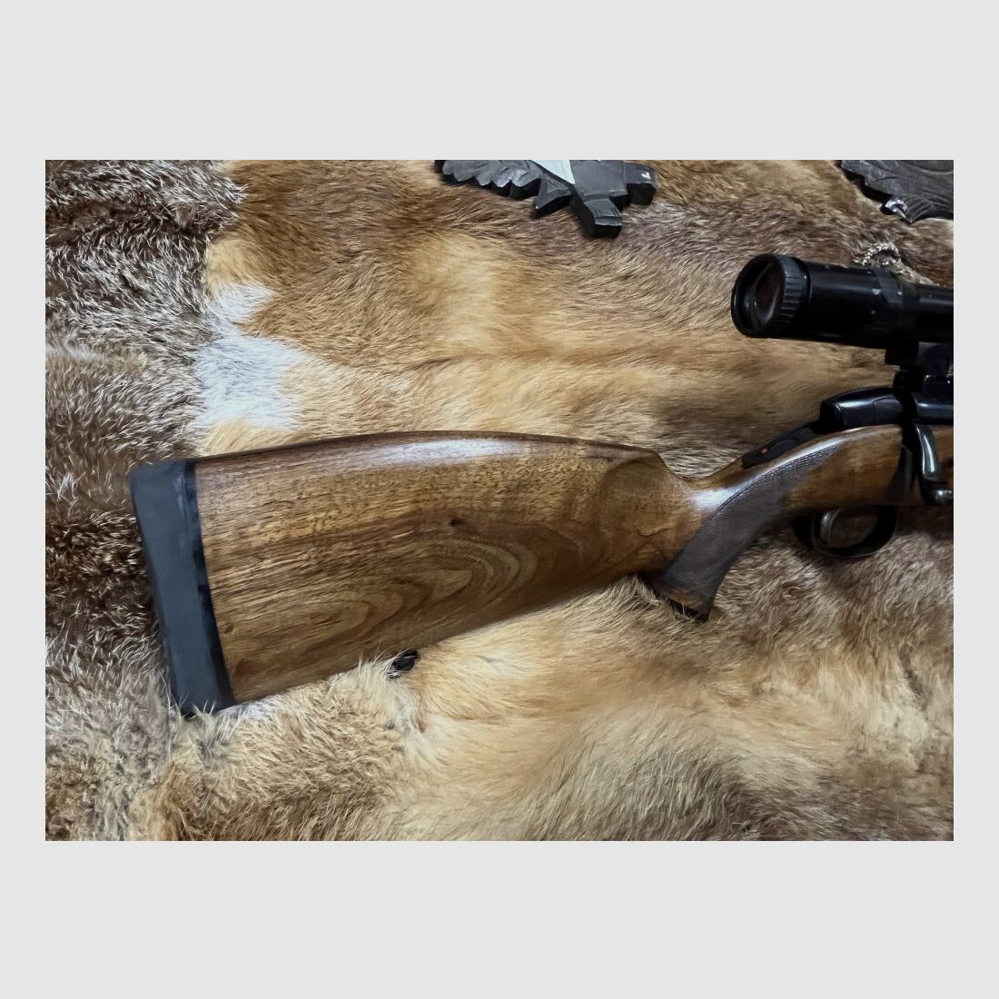 Steyr Mannlicher SBS