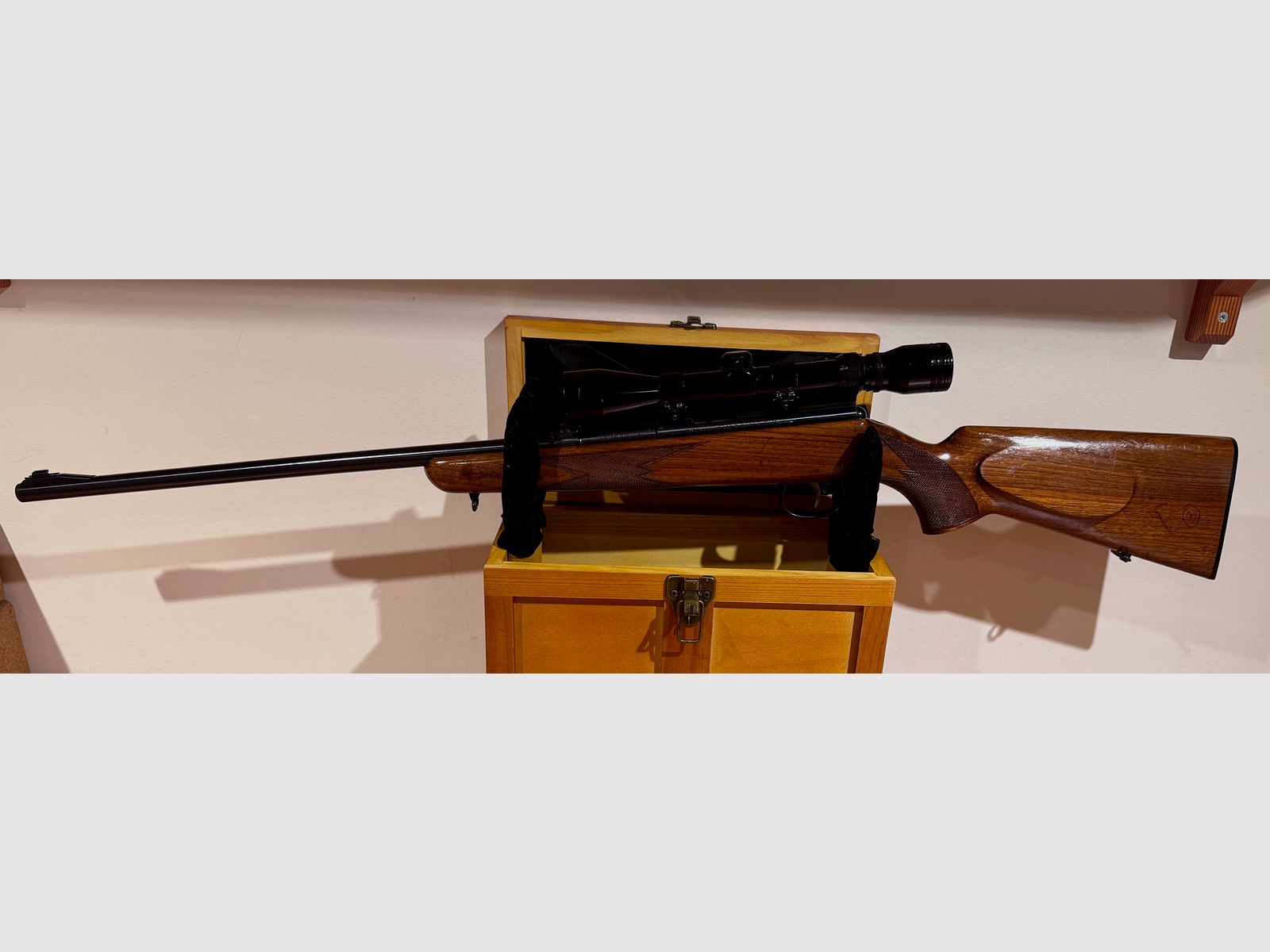 🎯 Präzises Kleinkaliber: Anschütz .22lr inkl. Bushmaster Zielfernrohr