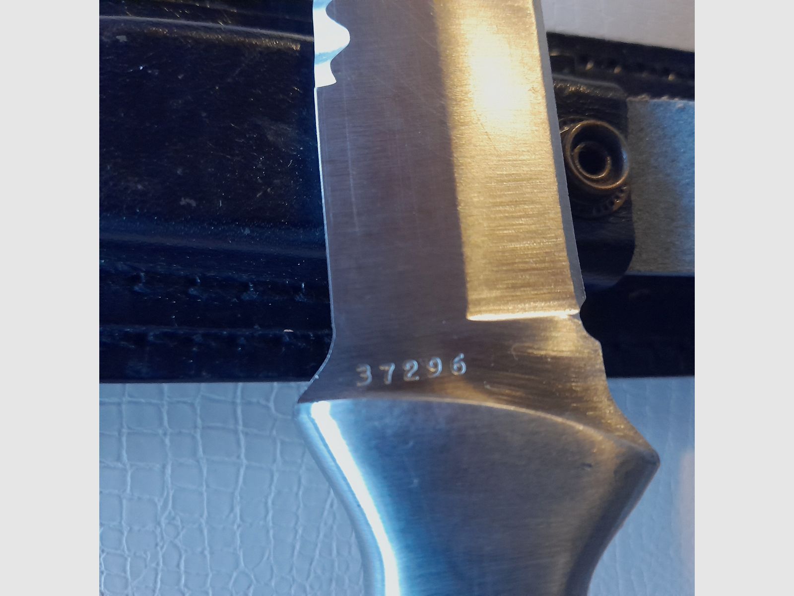 Couteau de chasse lame d'environ 14 cm avec étui en cuir