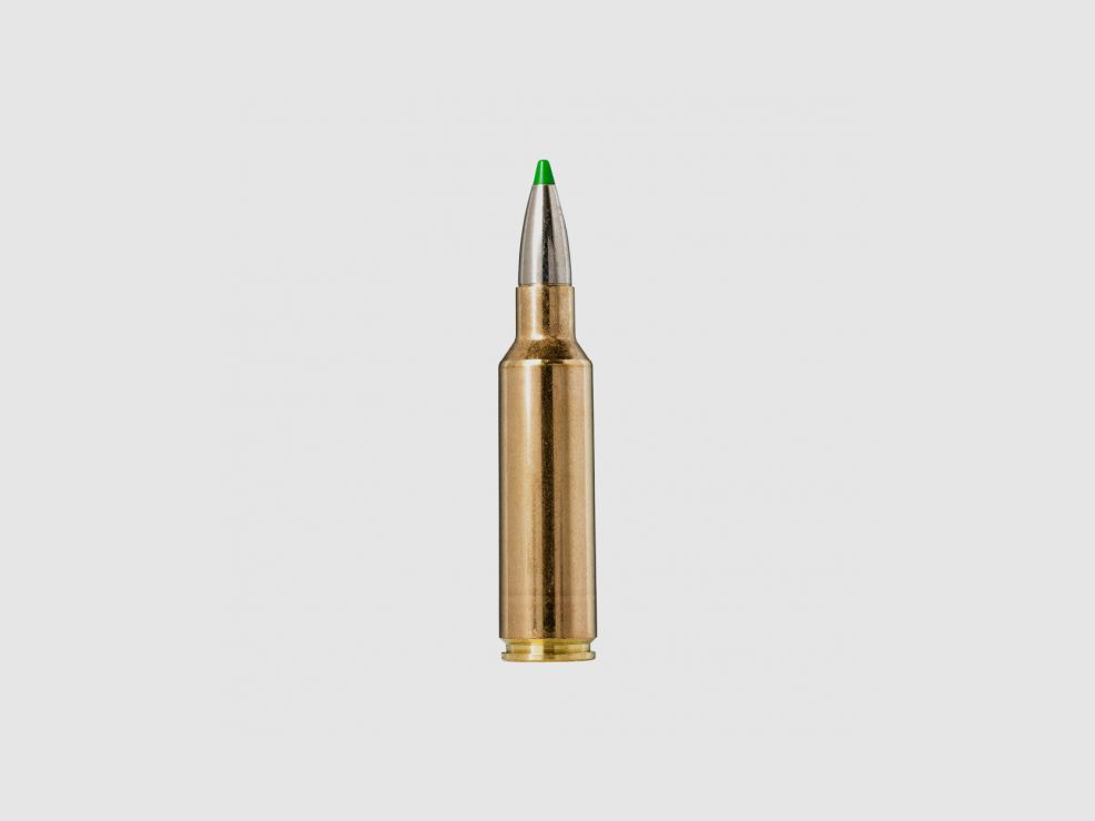 Büchsenmunitie NORMA .300 WSM EcoStrike 165 Grains, afbeelding 2 van 2