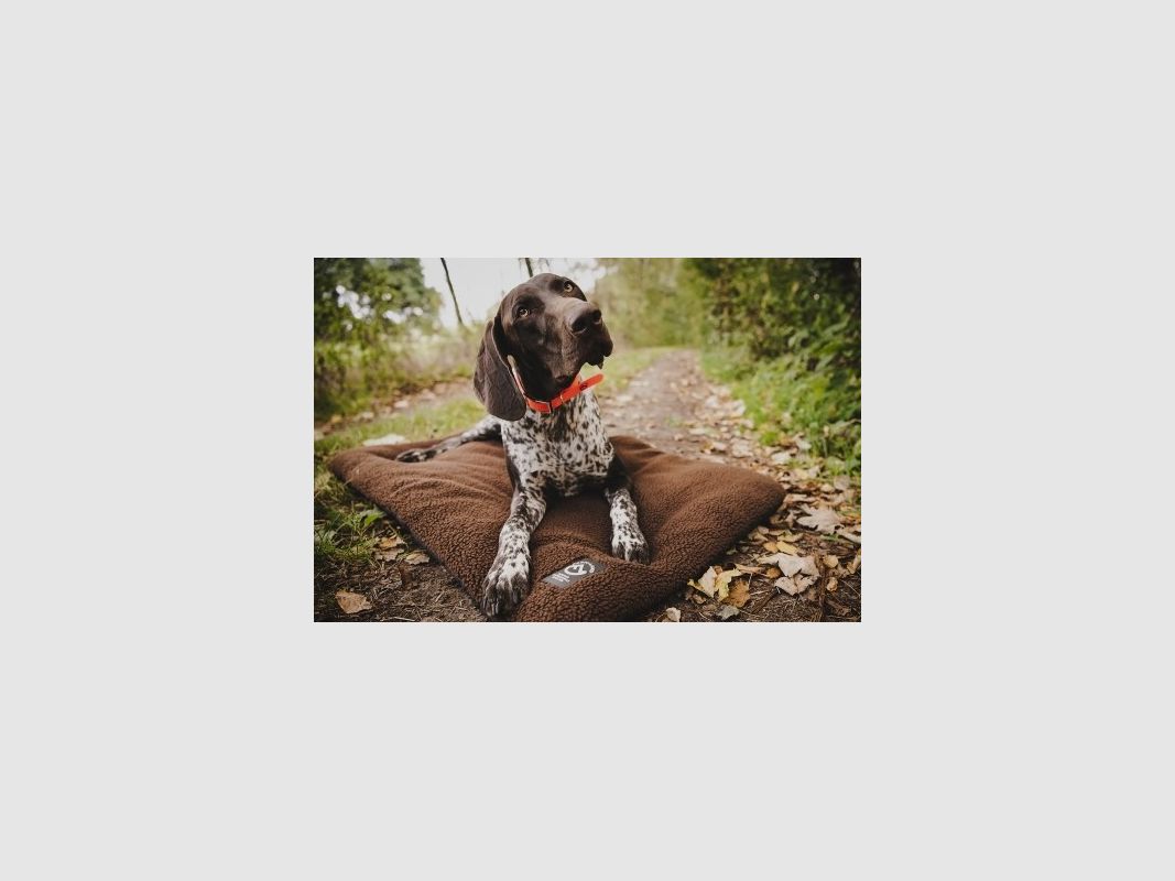 Farm-Land Hundedecke Faserpelz 70x100cm verschiedene Farben