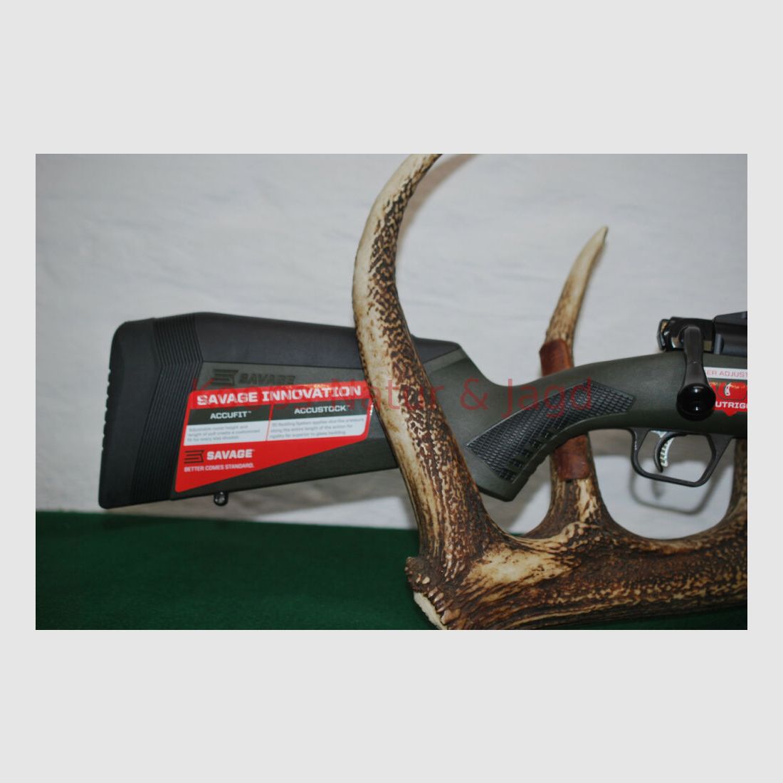Savage Arms Impuls Hog Hunter