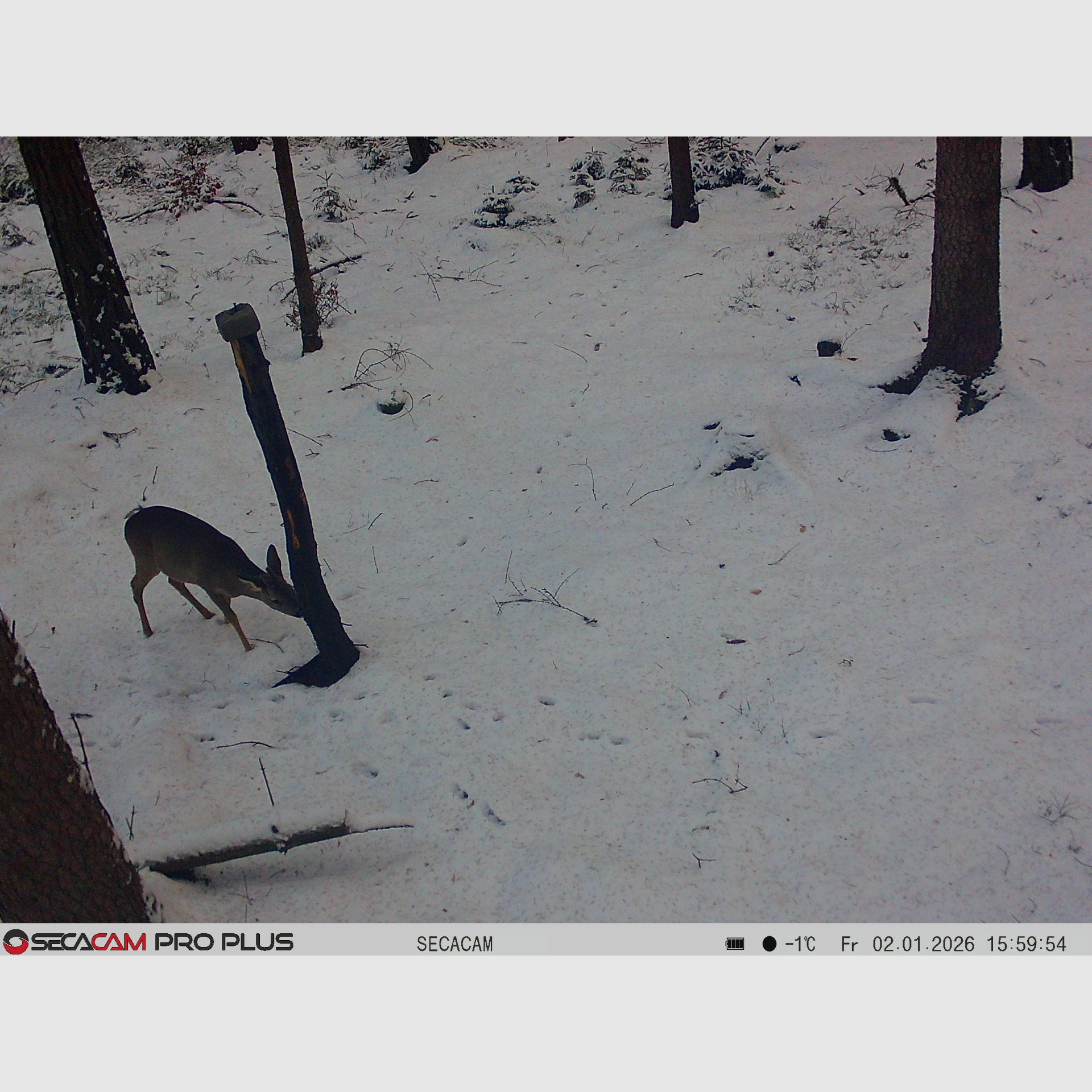 Secacam 