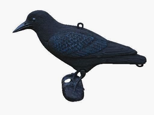 Forme de corbeau floquée