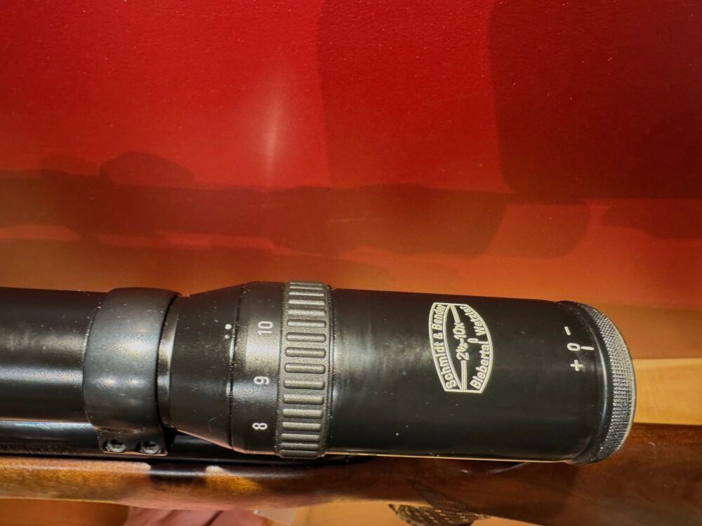 Steyr Mannlicher Modell SL