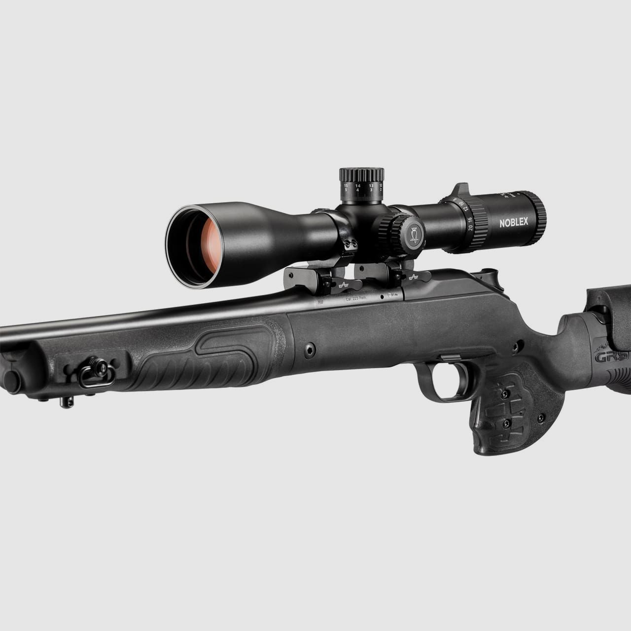 NZ8 2.5-20x50 LR inception